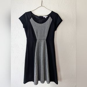 New York and Company Stretch Dress in Herringbone and Black